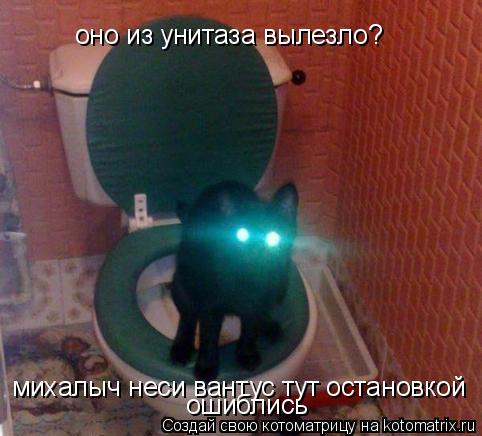 Котоматрица: оно из унитаза вылезло? михалыч неси вантус тут остановкой ошиблись