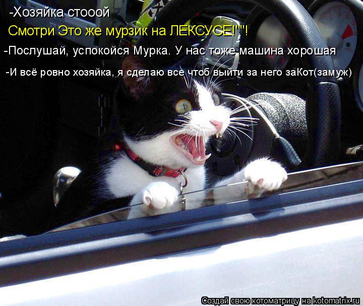 Котоматрица: -Хозяйка стооой Смотри Это же мурзик на ЛЕКСУСЕ!""! -Послушай, успокойся Мурка. У нас тоже машина хорошая -И всё ровно хозяйка, я сделаю все что