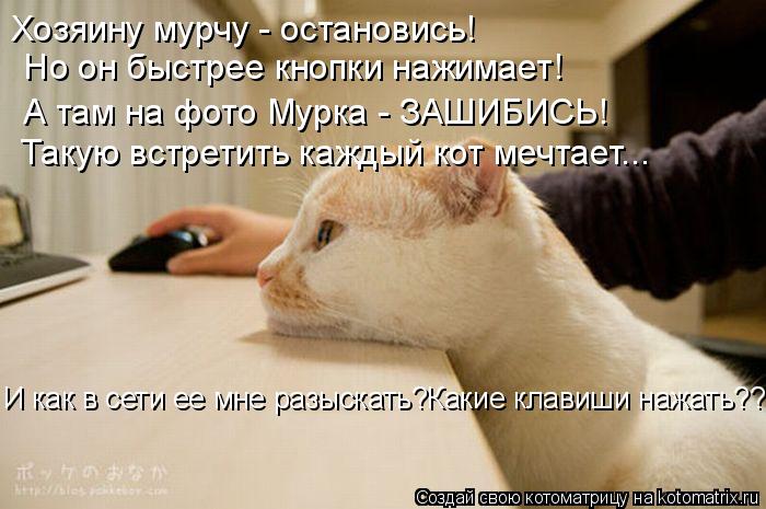 Хозяину мурчу - остановись! Но он быстрее кнопки нажимает! А там на фото Мурка - ЗАШИБИСЬ! Такую в... Котоматрица: Хозяину мурчу - остановись! Но он быстрее кнопки нажимает! А там на фото Мурка - ЗАШИБИСЬ! Такую встретить каждый кот мечтает... И как в сети