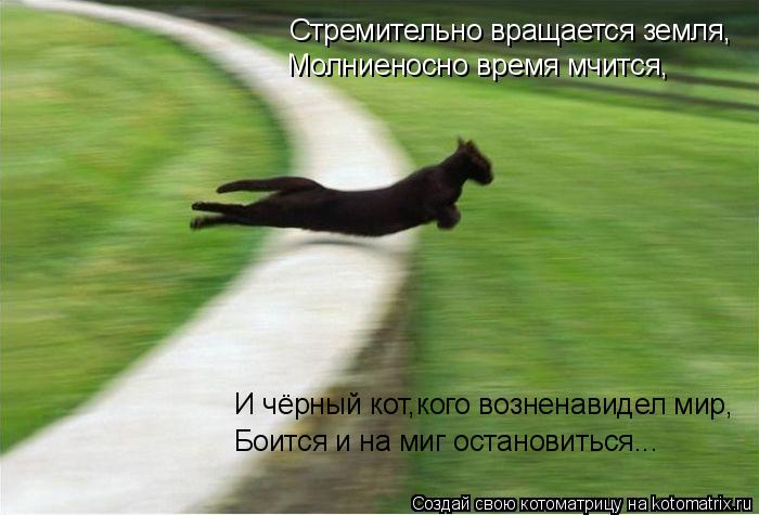 Котоматрица: Стремительно вращается земля, Молниеносно время мчится, И чёрный кот,кого возненавидел мир, Боится и на миг остановиться...