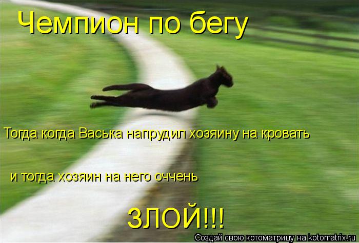 Котоматрица: Чемпион по бегу  Тогда когда Васька напрудил хозяину на кровать и тогда хозяин на него оччень  ЗЛОЙ!!!