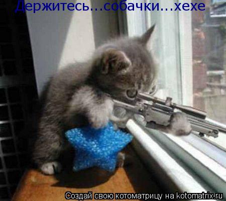 Котоматрица: Держитесь...собачки...хехе