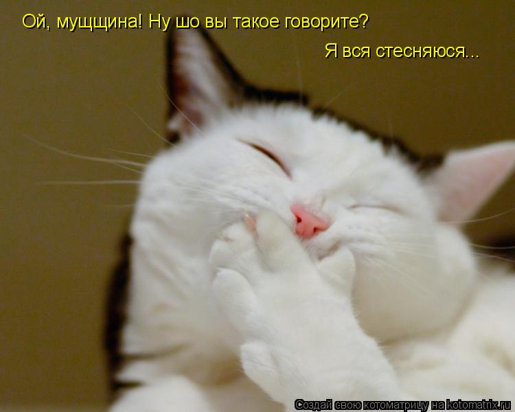 Котоматрица: Ой, мущщина! Ну шо вы такое говорите? Я вся стесняюся...
