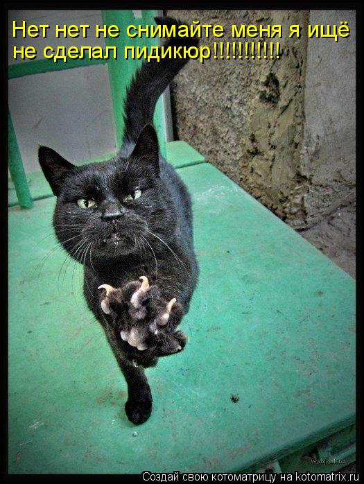 Котоматрица: Нет нет не снимайте меня я ищё не сделал пидикюр!!!!!!!!!!!