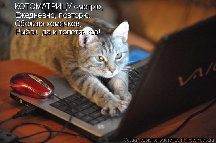 Котоматрица: КОТОМАТРИЦУ смотрю, Ежедневно, повторю. Обожаю хомячков, Рыбок, да и толстячков!