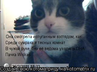 Котоматрица: Она смотрела испуганным взглядом, как  Среди сумрака и тесных комнат Среди сумрака и тесных комнат В чужой руке, без её ведома уходила ОНА П