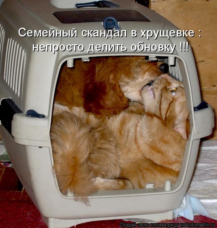 Семейный скандал в хрущевке : непросто делить обновку !!!... Котоматрица: Семейный скандал в хрущевке : непросто делить обновку !!!