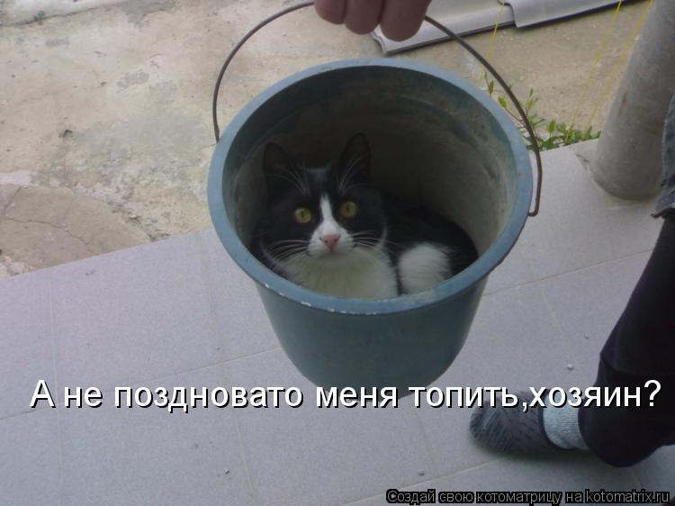 Котоматрица: А не поздновато меня топить,хозяин?