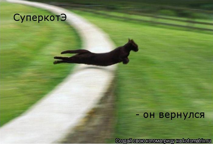 Котоматрица: СуперкотЭ - он вернулся