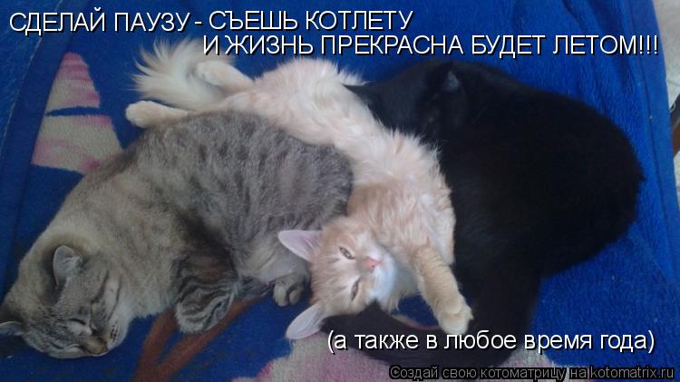Котоматрица: СДЕЛАЙ ПАУЗУ - СЪЕШЬ КОТЛЕТУ И ЖИЗНЬ ПРЕКРАСНА БУДЕТ ЛЕТОМ!!! (а также в любое время года)