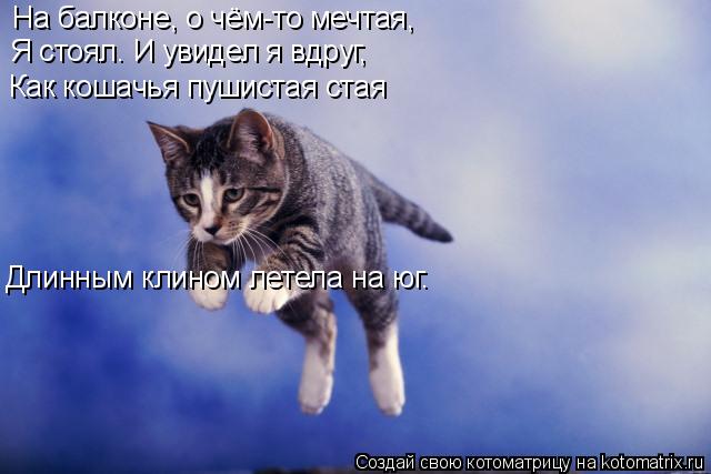 Котоматрица: На балконе, о чём-то мечтая, Я стоял… И увидел я вдруг, Как кошачья пушистая стая Длинным клином летела на юг.