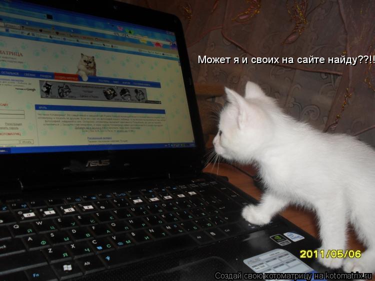 Котоматрица: Может я и своих на сайте найду??!!!