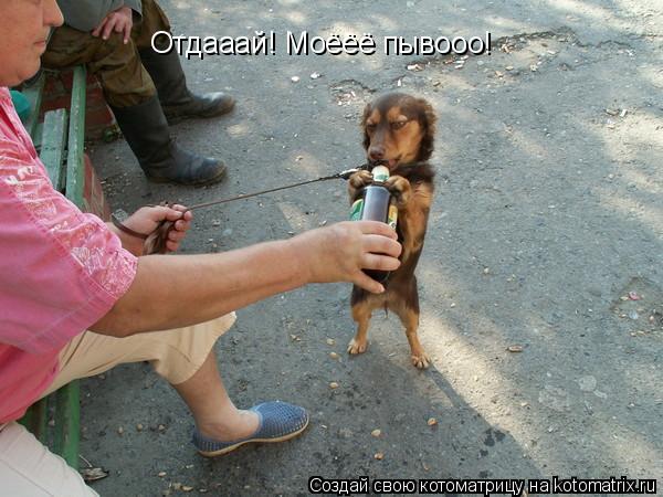 Котоматрица: Отдааай! Моёёё пывооо!