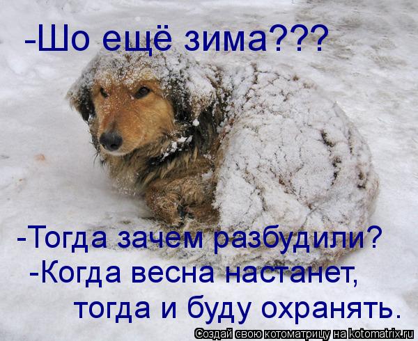 Котоматрица: -Шо ещё зима??? -Тогда зачем разбудили? -Когда весна настанет, тогда и буду охранять.