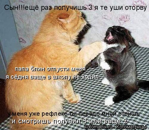 Котоматрица: Сын!!!ещё раз получишь 3 я те уши оторву папа блин отпусти меня я сёдня ваще в школу не ходил у меня уже рефлекс ты передо мной стоишь  и смотри