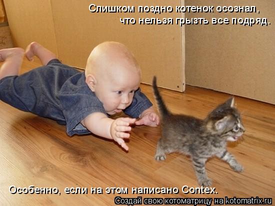 Котоматрица: Слишком поздно котенок осознал, что нельзя грызть все подряд. Особенно, если на этом написано Contex.