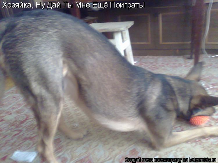 Котоматрица: Хозяйка, Ну Дай Ты Мне Ещё Поиграть!