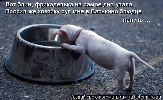Котоматрица: Вот блин, фрикаделька на самое дно упала Просил же хозяйку суп мне в Васькино блюдце налить....