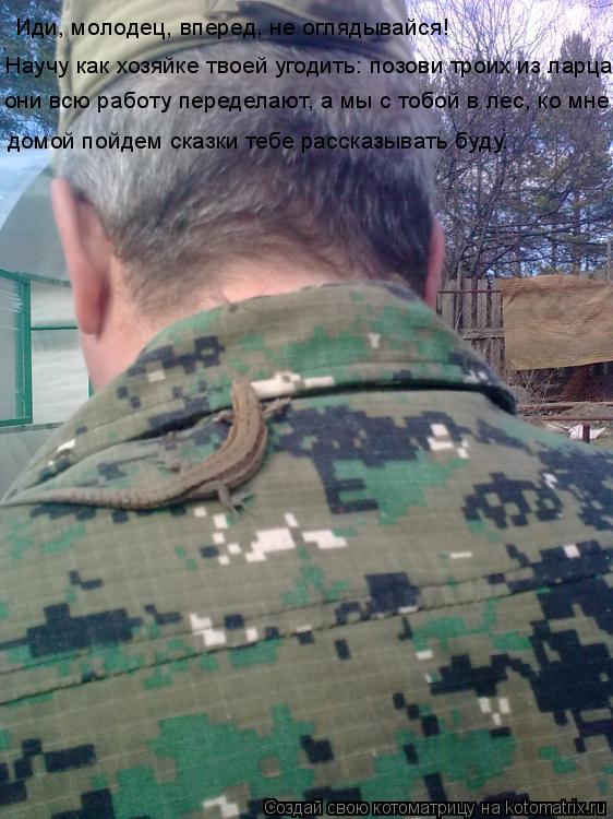 Котоматрица: Иди, молодец, вперед, не оглядывайся! Научу как хозяйке твоей угодить: позови троих из ларца-  они всю работу переделают, а мы с тобой в лес, ко