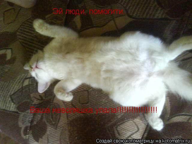 Котоматрица: Эй люди, помогити. Ваша неволяшка упала!!!!!!!!!!!!!!!!!
