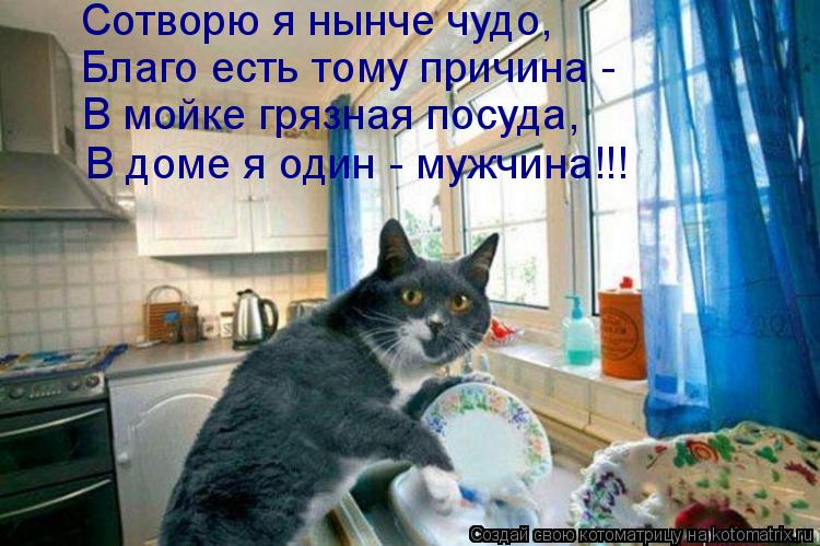 Сотворю я нынче чудо, Благо есть тому причина - В мойке грязная посуда, В доме я один - мужчина!!!... Котоматрица: Сотворю я нынче чудо, Благо есть тому причина - В мойке грязная посуда, В доме я один - мужчина!!!