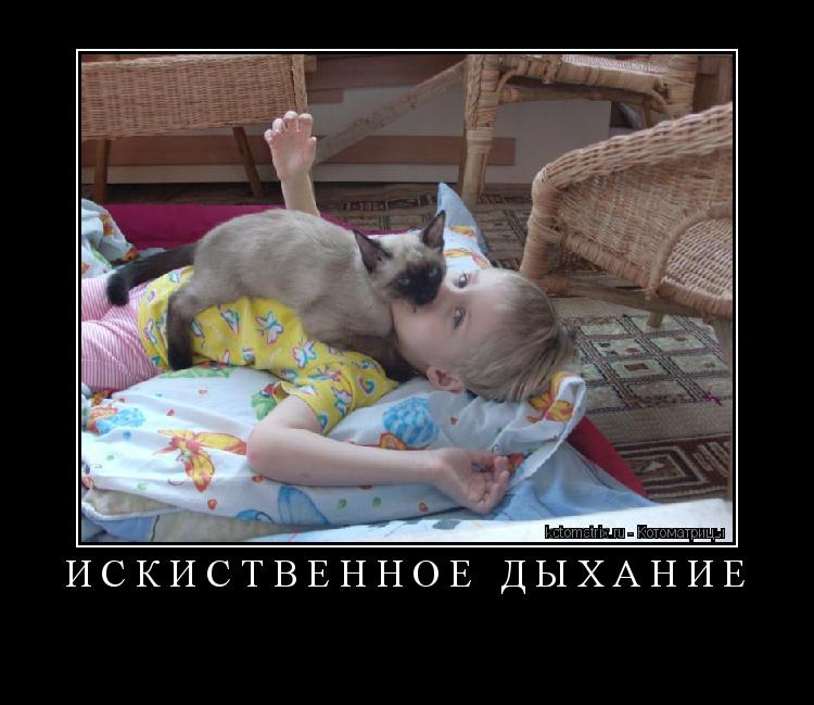 Котоматрица: ИсКИСтвенное дыхание 