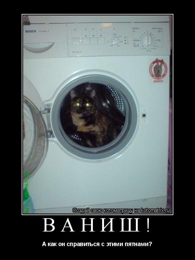 Котоматрица: Ваниш! А как он справиться с этими пятнами?