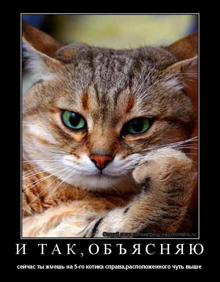 Котоматрица: И так,объясняю сейчас ты жмешь на 5-го котика справа,расположенного чуть выше 