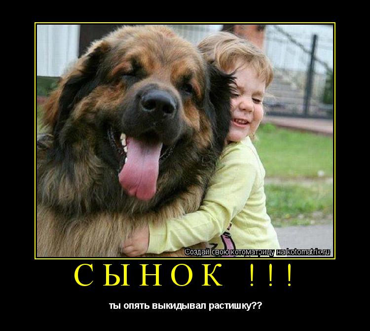 Котоматрица: сынок !!!  ты опять выкидывал растишку??