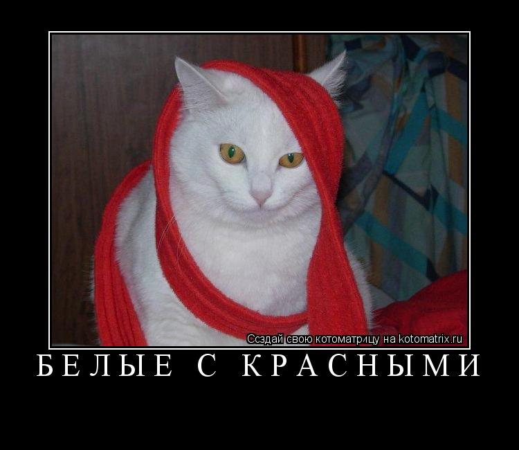 Котоматрица: Белые с Красными 