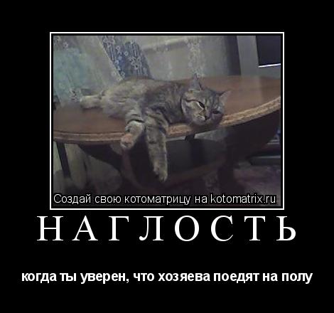 Котоматрица: Наглость когда ты уверен, что хозяева поедят на полу
