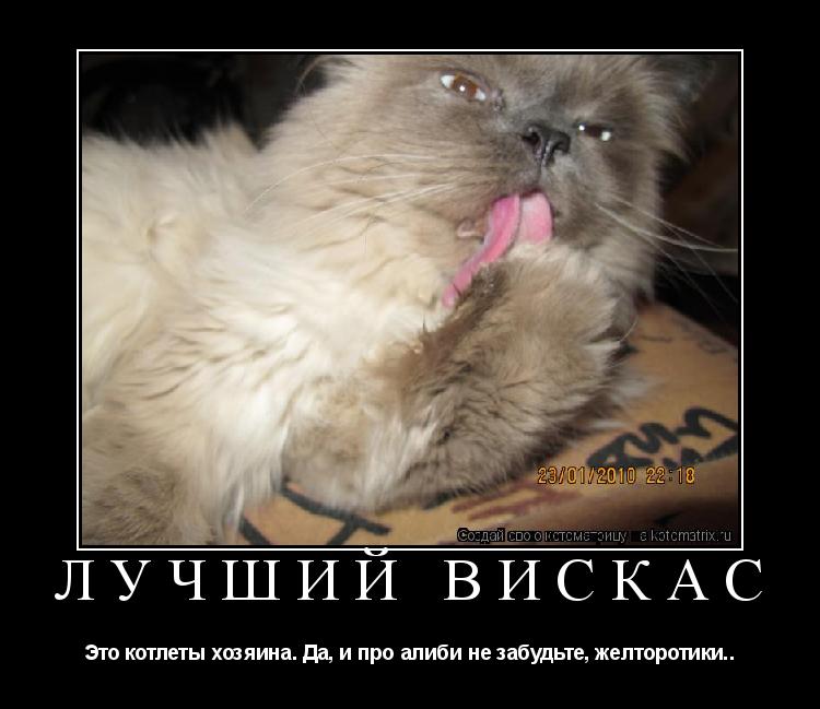 Котоматрица: Лучший вискас Это котлеты хозяина. Да, и про алиби не забудьте, желторотики..