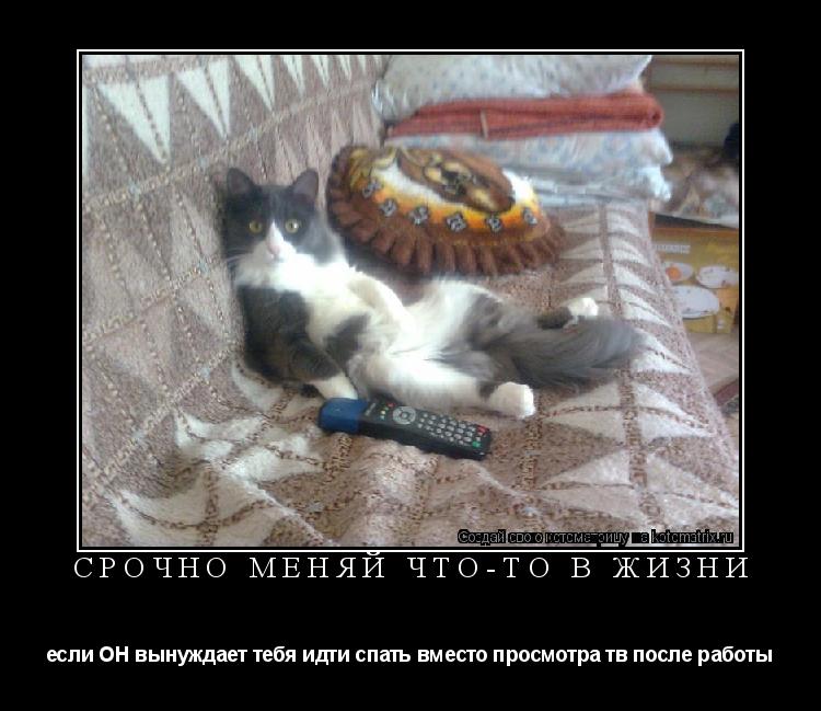 Котоматрица: Срочно меняй что-то в жизни если ОН вынуждает тебя идти спать вместо просмотра тв после работы