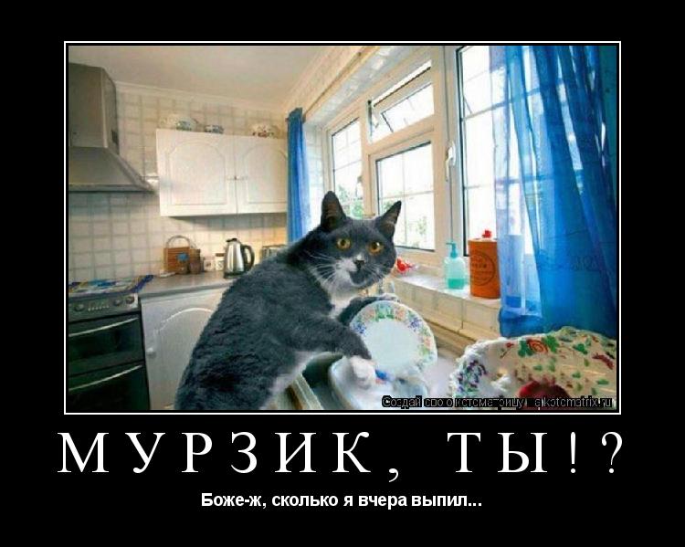 Котоматрица: Мурзик, Ты!? Боже-ж, сколько я вчера выпил...