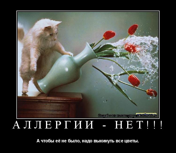 Котоматрица: Аллергии - НЕТ!!! А чтобы её не было, надо выкинуть все цветы.