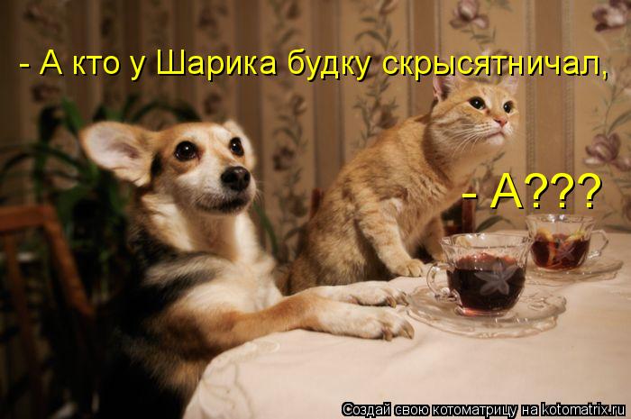 Котоматрица: - А кто у Шарика будку скрысятничал, - А???