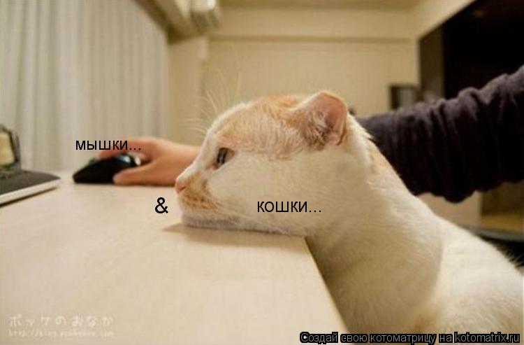 Котоматрица: кошки... мышки... &