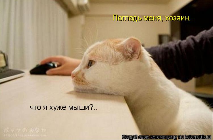 Котоматрица: Погладь меня, хозяин...  что я хуже мыши?..