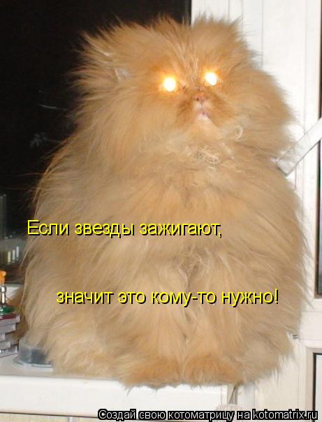 Котоматрица: Если звезды зажигают,  значит это кому-то нужно!