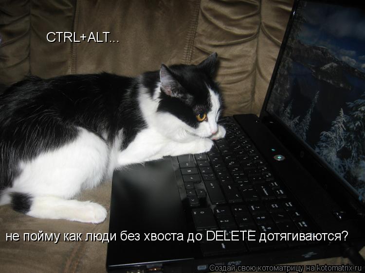 Котоматрица: CTRL+ALT...  не пойму как люди без хвоста до DELETE дотягиваются?