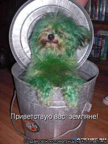 Котоматрица: Приветствую вас, земляне!