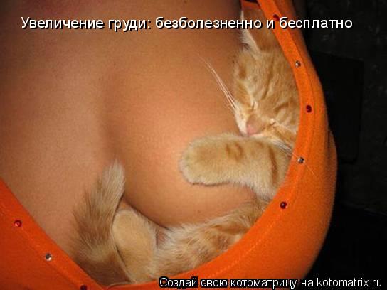 Котоматрица: Увеличение груди: безболезненно и бесплатно