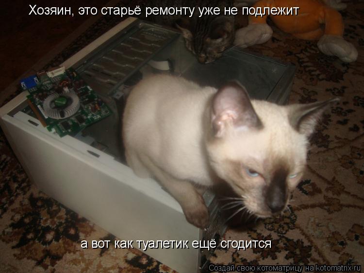 Котоматрица: Хозяин, это старьё ремонту уже не подлежит а вот как туалетик ещё сгодится
