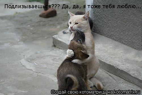 Котоматрица: Подлизываешься??? Да, да, я тоже тебя люблю...