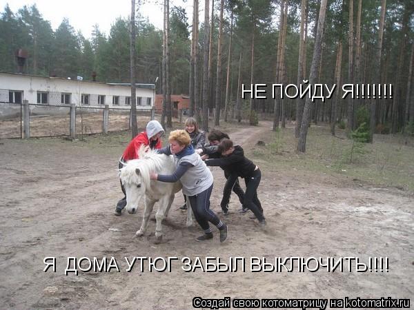 Котоматрица: НЕ ПОЙДУ Я!!!!!!! Я  ДОМА УТЮГ ЗАБЫЛ ВЫКЛЮЧИТЬ!!!!