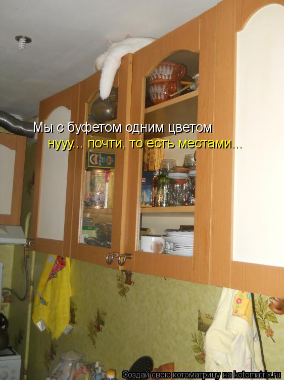 Котоматрица: Мы с буфетом одним цветом нууу... почти, то есть местами...