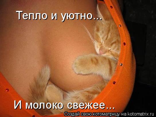 Котоматрица: Тепло и уютно... И молоко свежее...