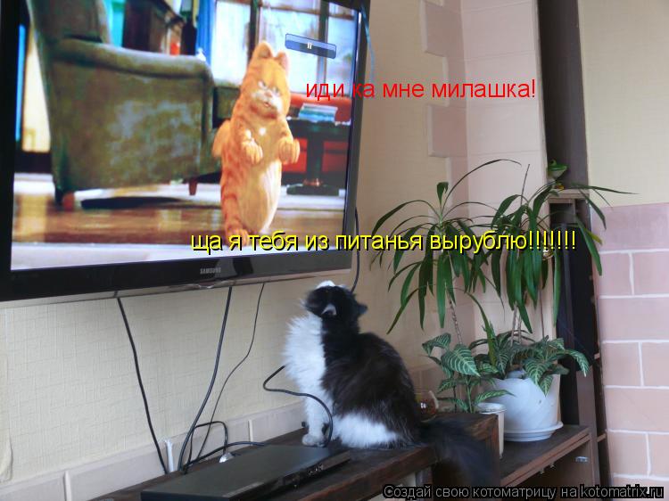 Котоматрица: иди ка мне милашка! ща я тебя из питанья вырублю!!!!!!!