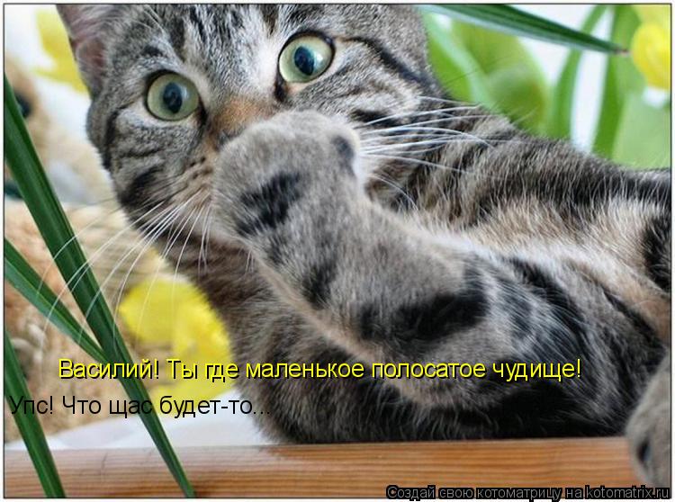Котоматрица: Василий! Ты где маленькое полосатое чудище! Упс! Что щас будет-то...