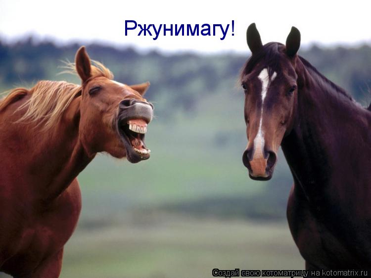 Котоматрица: Ржунимагу!